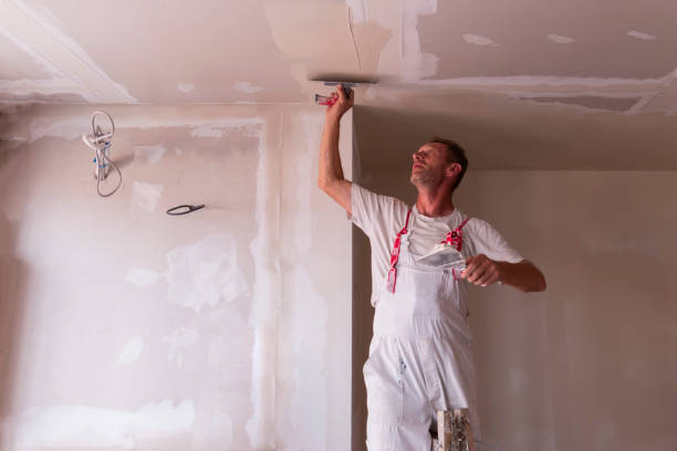 Drywall and painting service